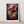 Kunstplakat - Live life in full colour
