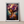 Kunstplakat - Live life in full colour