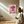 Kunstplakat - Live life in full bloom