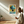Kunstplakat - Live life in full bloom
