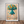 Kunstplakat - Live life in full bloom